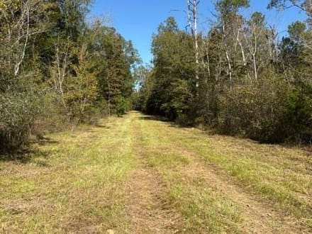 37 acres Grant LA