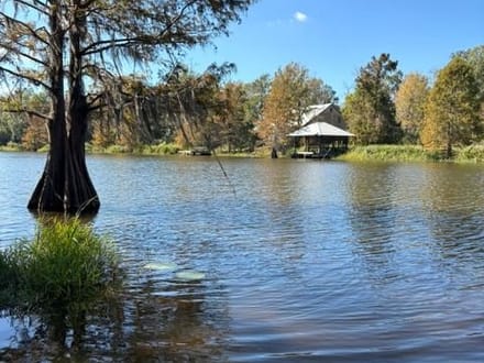 37 acres Grant LA