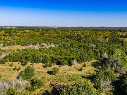 1771 Old US 50 Hwy