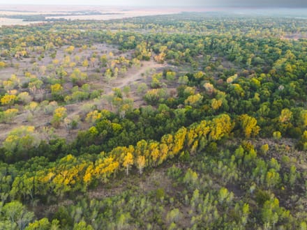 RIVER BLUFF RANCH