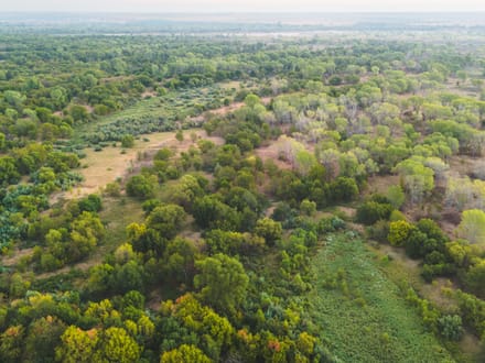 RIVER BLUFF RANCH