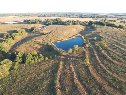 Versatile Lincoln Co. 50 +/- Acre Property with Water, Pasture, Timber and Wildlife