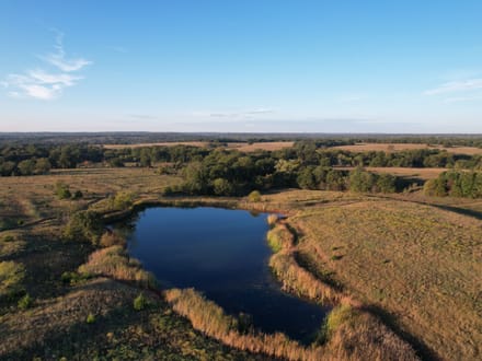 Versatile Lincoln Co. 50 +/- Acre Property with Water, Pasture, Timber and Wildlife