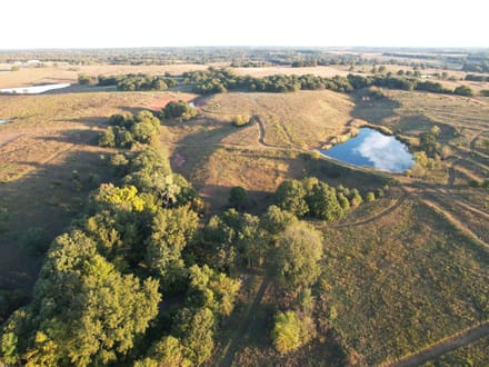 Versatile Lincoln Co. 50 +/- Acre Property with Water, Pasture, Timber and Wildlife