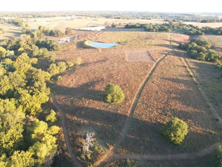 Versatile Lincoln Co. 50 +/- Acre Property with Water, Pasture, Timber and Wildlife