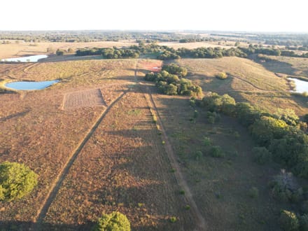 Versatile Lincoln Co. 50 +/- Acre Property with Water, Pasture, Timber and Wildlife