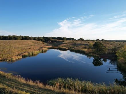 Versatile Lincoln Co. 50 +/- Acre Property with Water, Pasture, Timber and Wildlife