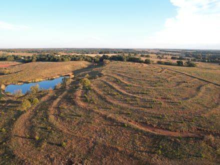 Versatile Lincoln Co. 50 +/- Acre Property with Water, Pasture, Timber and Wildlife