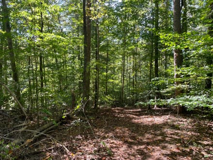 +/- 1.38 acres - Unrestricted Residential Lot with Public Water