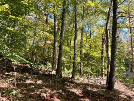 +/- 1.38 acres - Unrestricted Residential Lot with Public Water