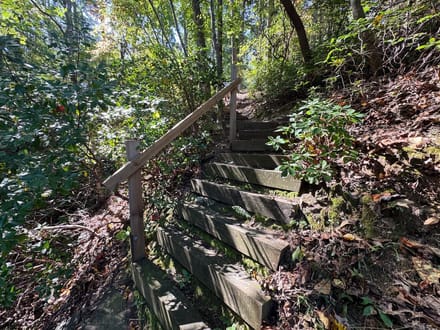 Premier Lake Keowee Waterfront Homesite in The Cliffs at Keowee Falls