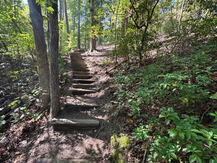 Premier Lake Keowee Waterfront Homesite in The Cliffs at Keowee Falls