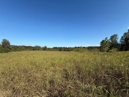 Vicksburg Landfill