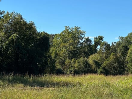 505 Farrs Bridge Road (4.88 acres)