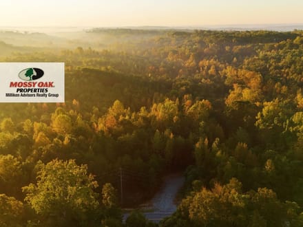 Cane Creek Tract C