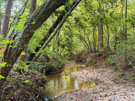 Cane Creek Tract C
