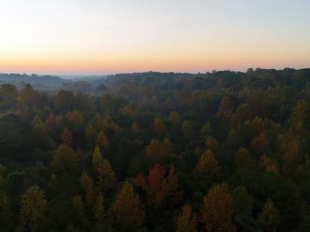 Cane Creek Tract B