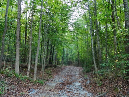 Cane Creek Tract C
