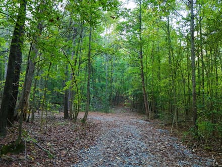 Cane Creek Tract C