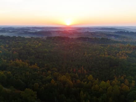 Cane Creek Tract A