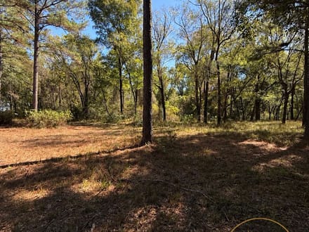 LOT 38 @ RIVERVIEW LANDING SUBDIVISION