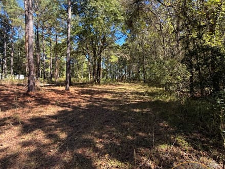 LOT 38 @ RIVERVIEW LANDING SUBDIVISION