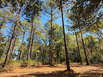 LOT 38 @ RIVERVIEW LANDING SUBDIVISION