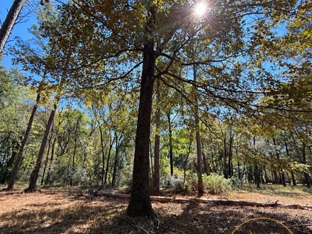 LOT 38 @ RIVERVIEW LANDING SUBDIVISION