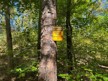 Panther Creek