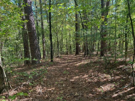 Panther Creek