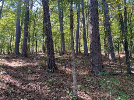 Panther Creek