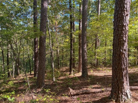 Panther Creek
