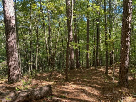 Panther Creek