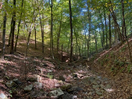 Panther Creek