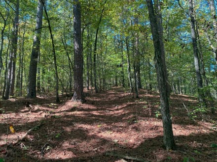 Panther Creek