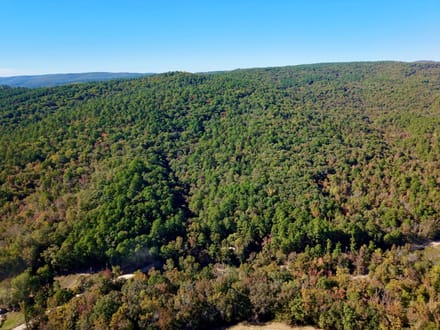 Panther Creek