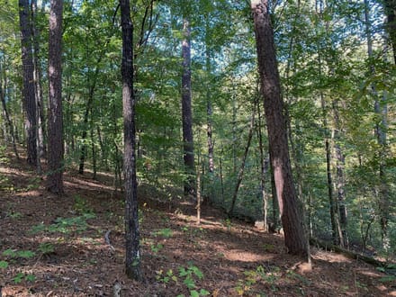 Panther Creek
