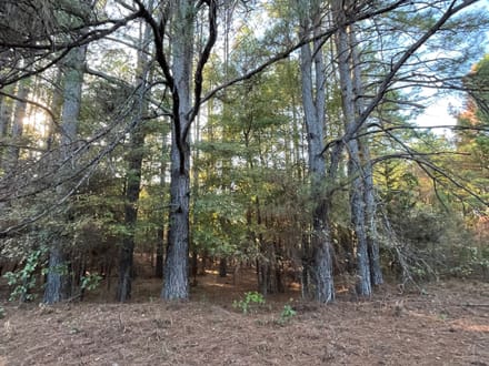 19 acres Red Hill Road 