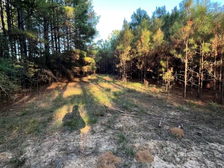 19 acres Red Hill Road 