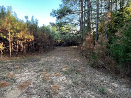 19 acres Red Hill Road 