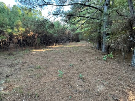 19 acres Red Hill Road 