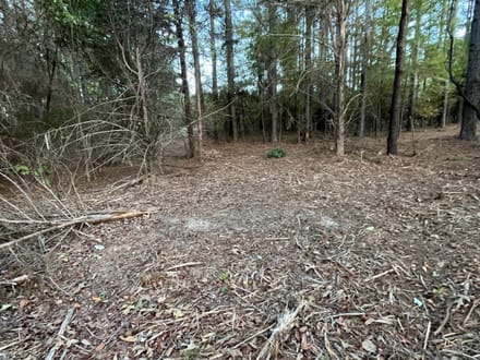 19 acres Red Hill Road 