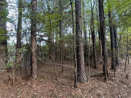 19 acres Red Hill Road 