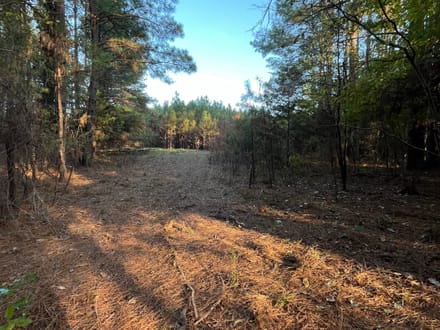 19 acres Red Hill Road 