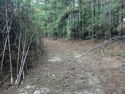 19 acres Red Hill Road 