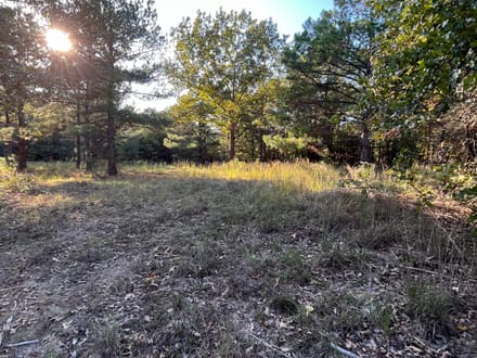 13.3 Excellent home site/cabin site near Antlers