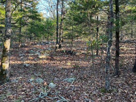 13.3 Excellent home site/cabin site near Antlers