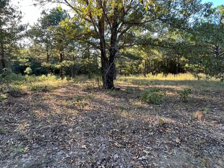 13.3 Excellent home site/cabin site near Antlers