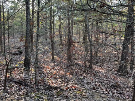 13.3 Excellent home site/cabin site near Antlers