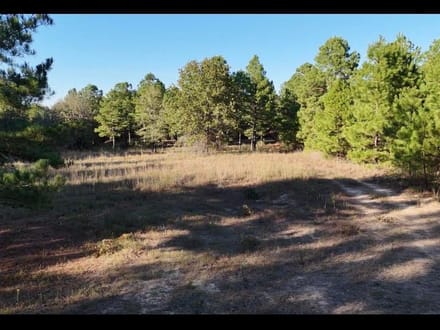 13.3 Excellent home site/cabin site near Antlers